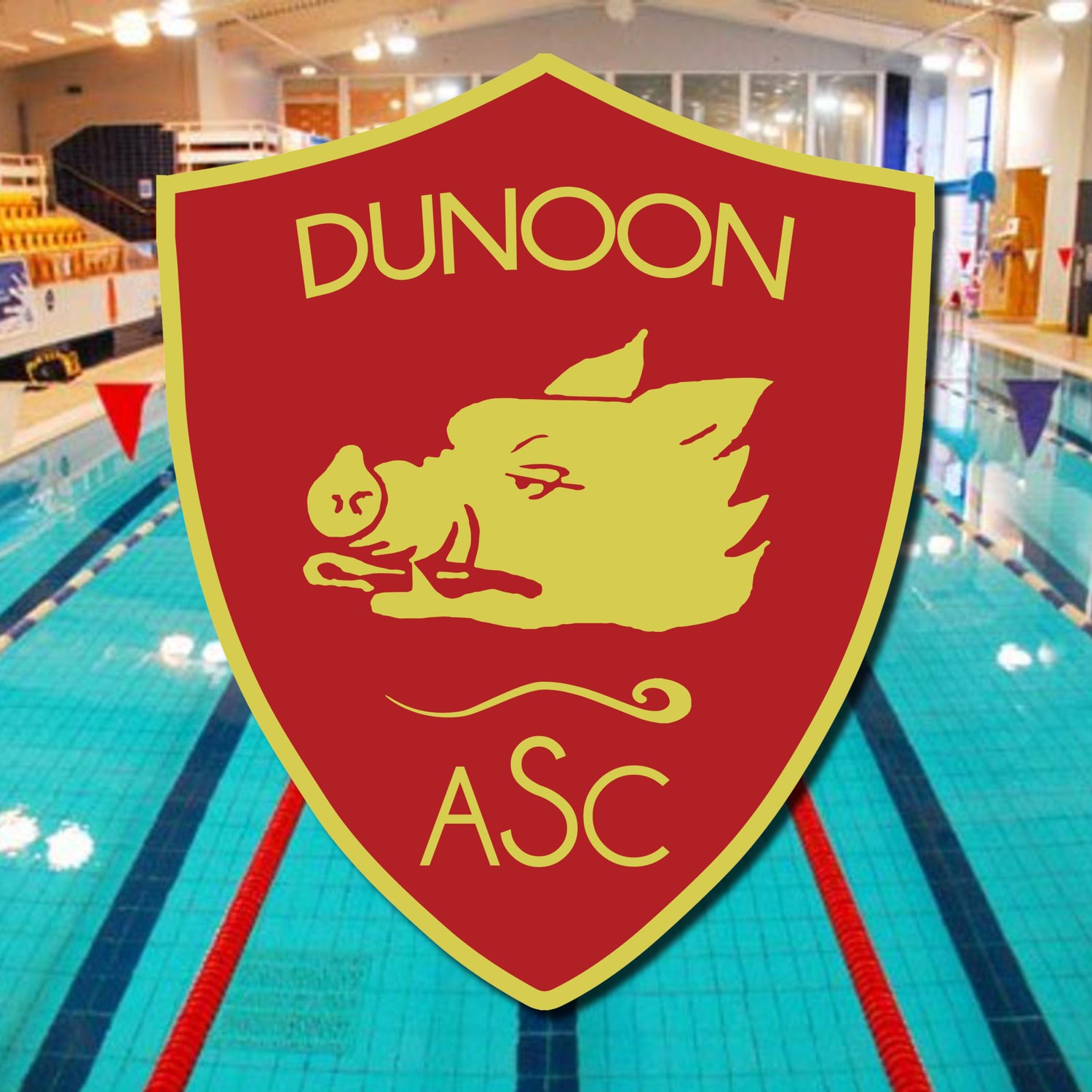 Dunoon Amateur Swimming Club